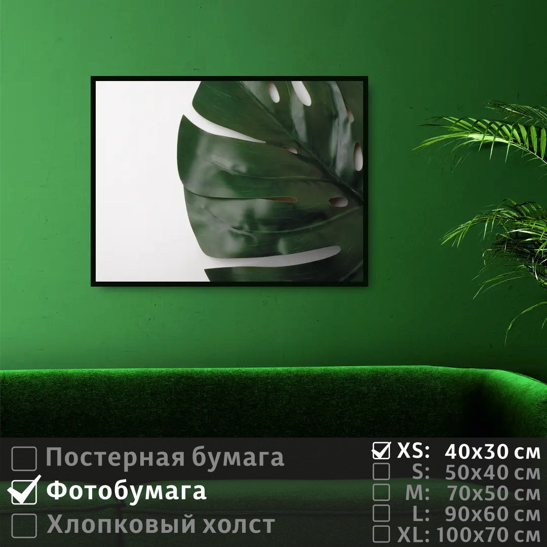 

Постер на фотобумаге ПолиЦентр Лист монстеры 40х30 см, ЛистМонстеры