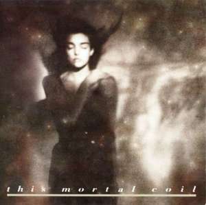 This Mortal Coil: It'll End in Tears