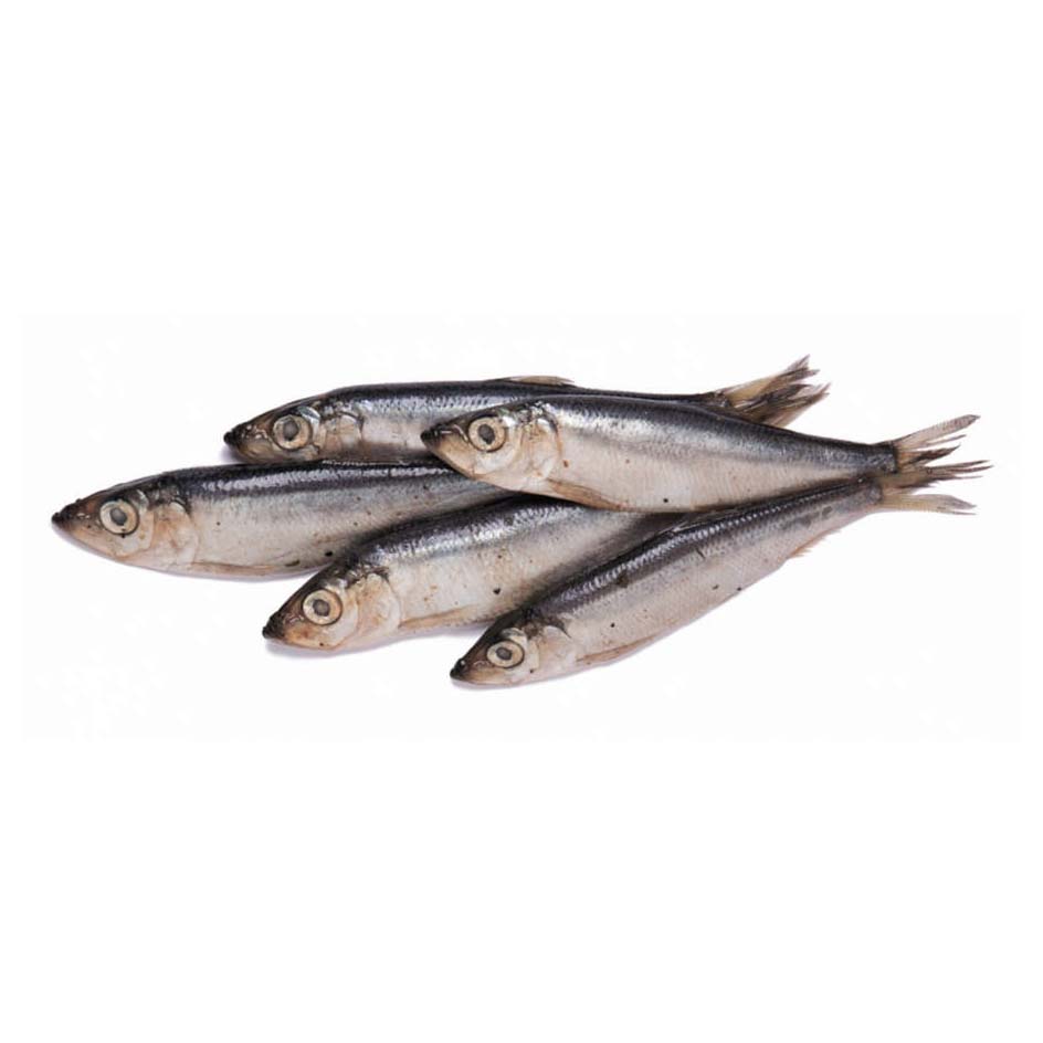 

Сардина Extra fish соленая неразделанная +-300 г