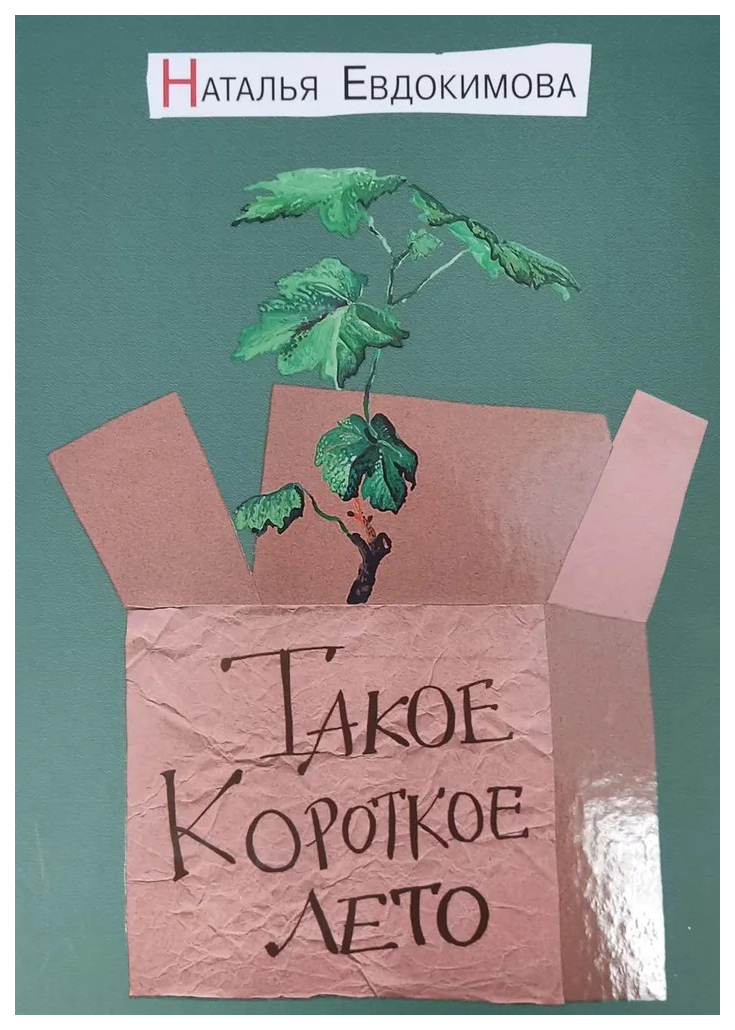 

Евдокимова Н.Такое короткое лето:рассказы-мотыльки, ДЕТСКАЯ ХУДОЖЕСТВЕННАЯ ЛИТЕРАТУРА
