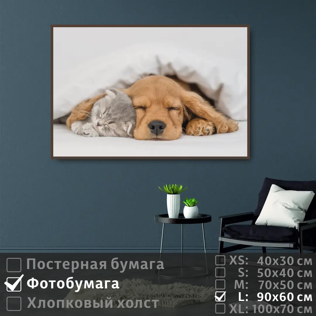 

Постер на фотобумаге ПолиЦентр Спящие котенок и щенок 90х60 см, СпящиеКотенокИЩенок