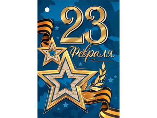 

2-79-23076А Открытка 23 Февраля