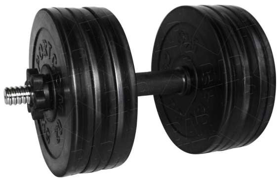 

Гантель разборная BARFITS Sportcom D26 31,5кг, Sportcom
