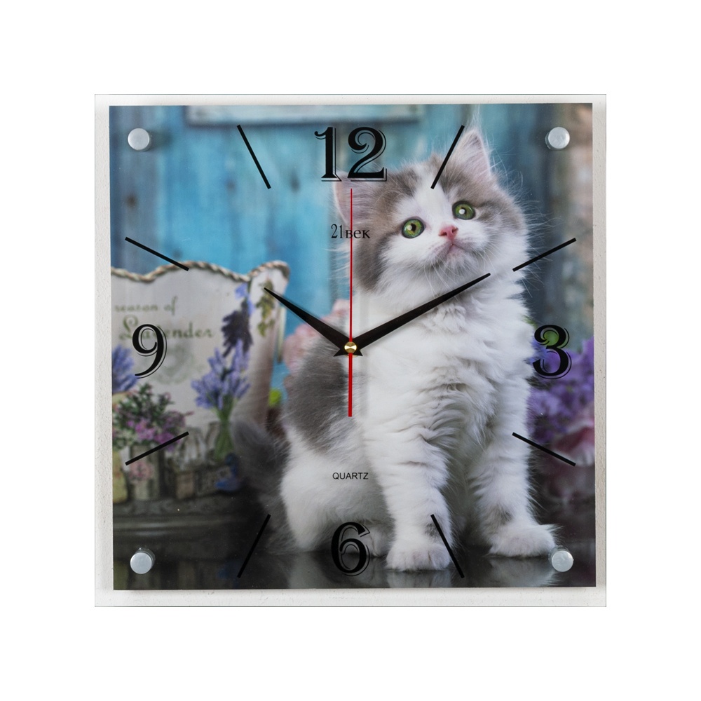 

Котенок