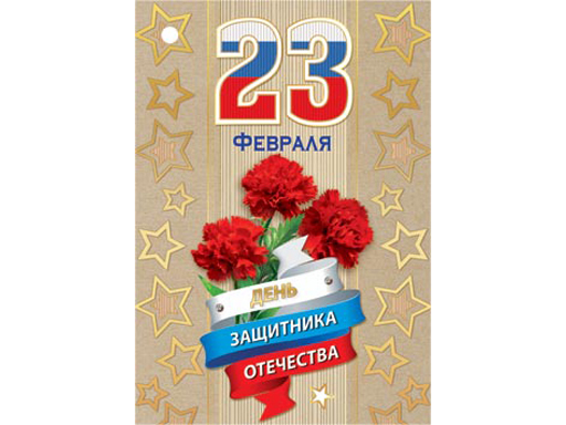 

2-78-23167А Открытка 23 Февраля ( РФ ), Разноцветный