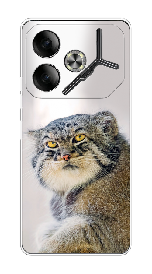 

Чехол на Tecno Pova 6 "Кот манул 1", Серый;белый;желтый, 305350-1