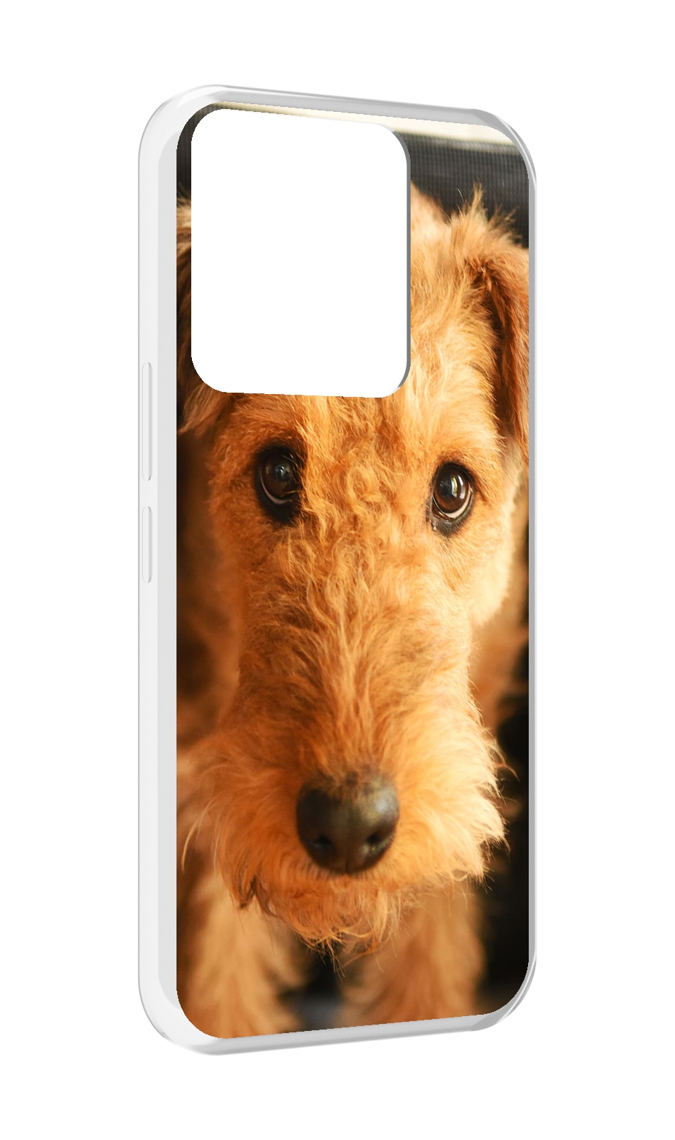 

Чехол MyPads эрдельтерьер для Tecno Spark Go 2022 / Tecno Spark 8C, Прозрачный, Tocco