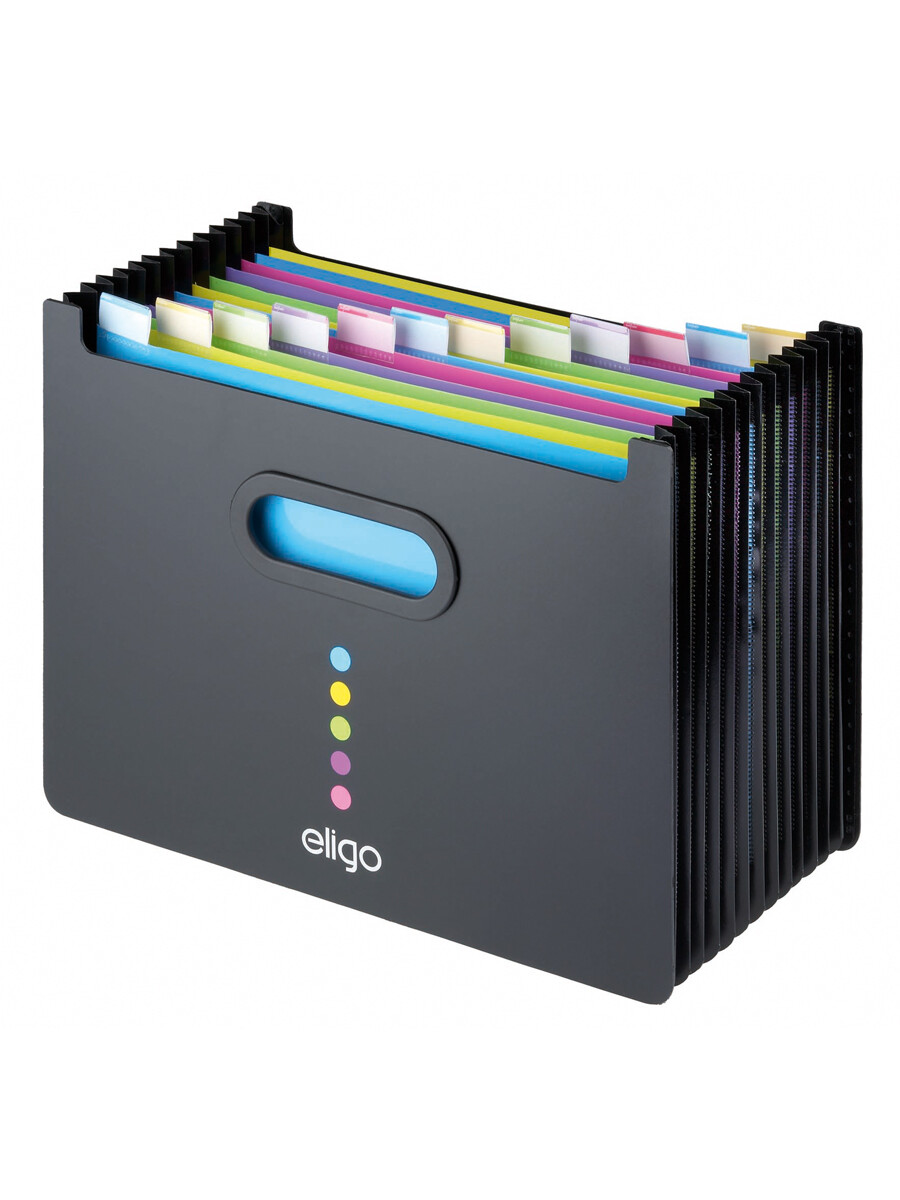 

Папка настольная Snopake для документов, А4, 330x235x240мм,13 секций в 1, 15174, 15174