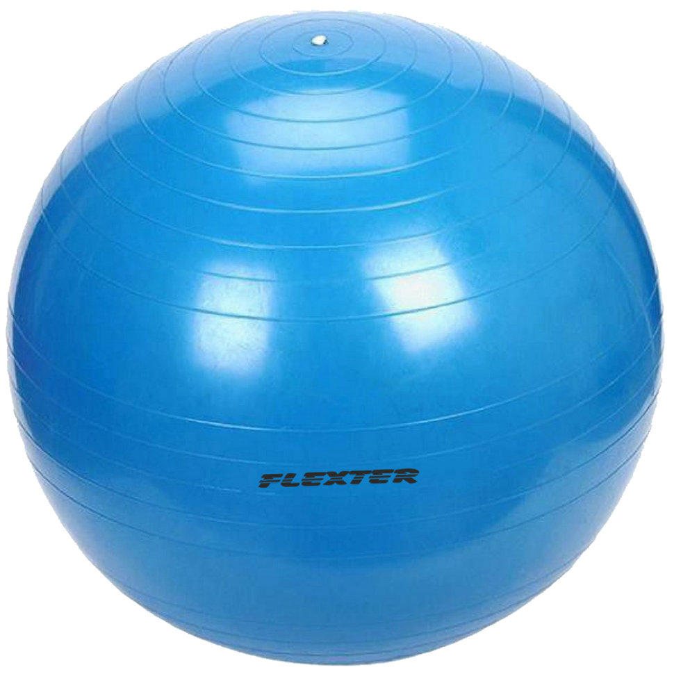 

Мяч гимнастический FLEXTER синий 65см