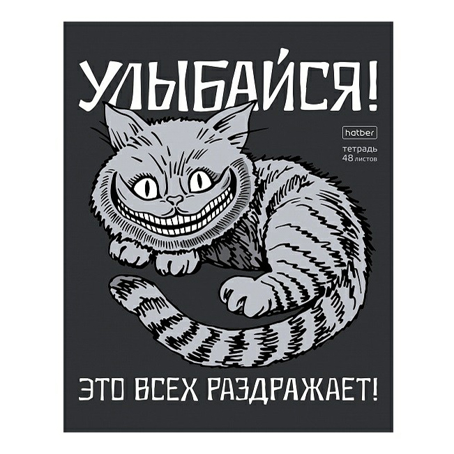 

Тетрадь общая в клетку Hatber Улыбайся! 48Т5В1, 48 л., 1 шт.