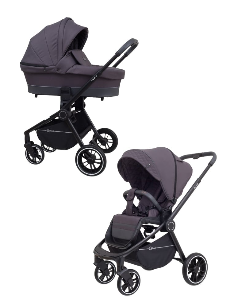 

Коляска универсальная 2 в 1 Rant Flex 2021 Moon Grey