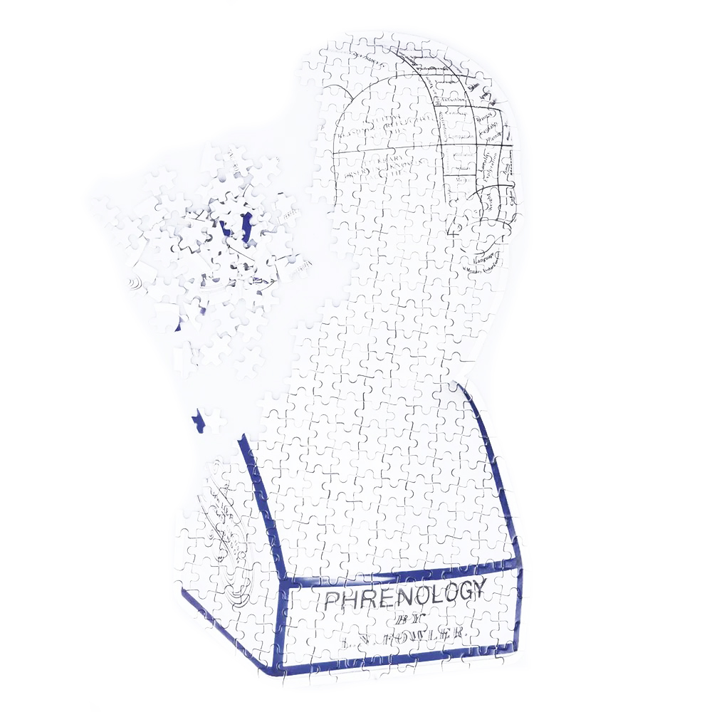 

Пазл phrenology, DYPUZZLPH