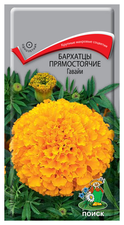 

Семена бархатцы Поиск Гавайи 160498 1 уп.