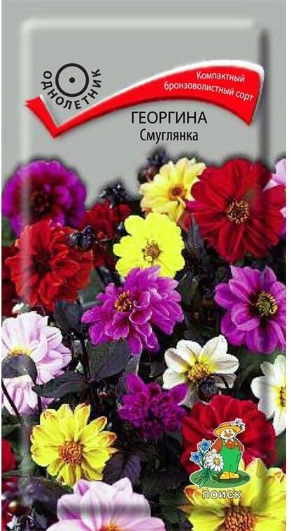 

Семена георгин Поиск Смуглянка 730776 1 уп.