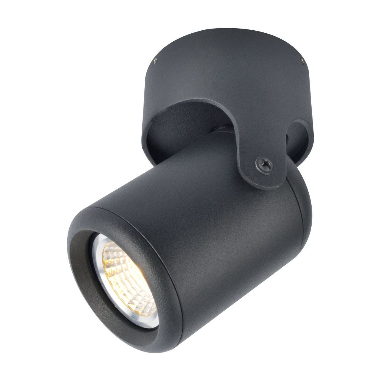

Arte Lamp Спот Arte Lamp A3316PL-1BK