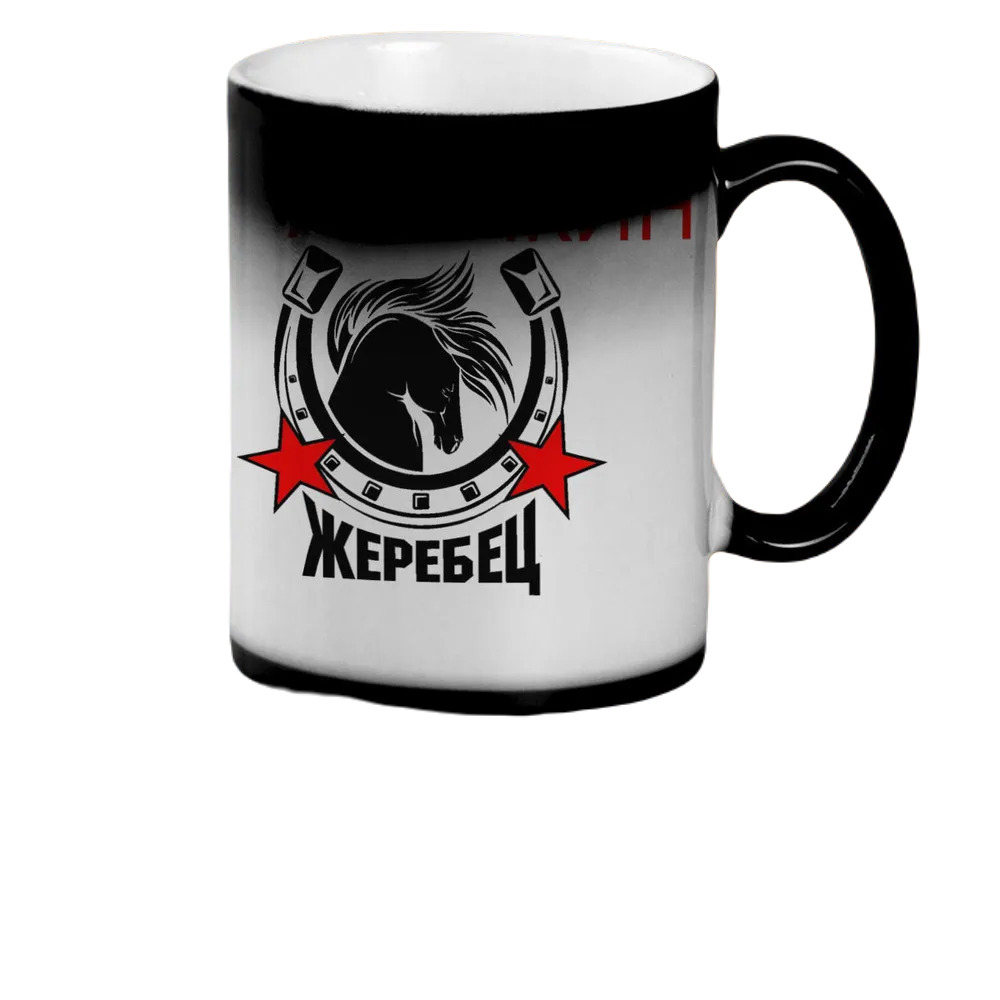 

Кружка CoolPodarok Жеребец Анечкин