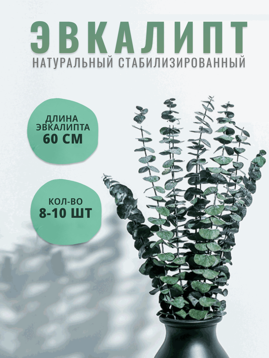 

Сухоцветы Shanly эвкалипт стабилизированный для декора, Зеленый