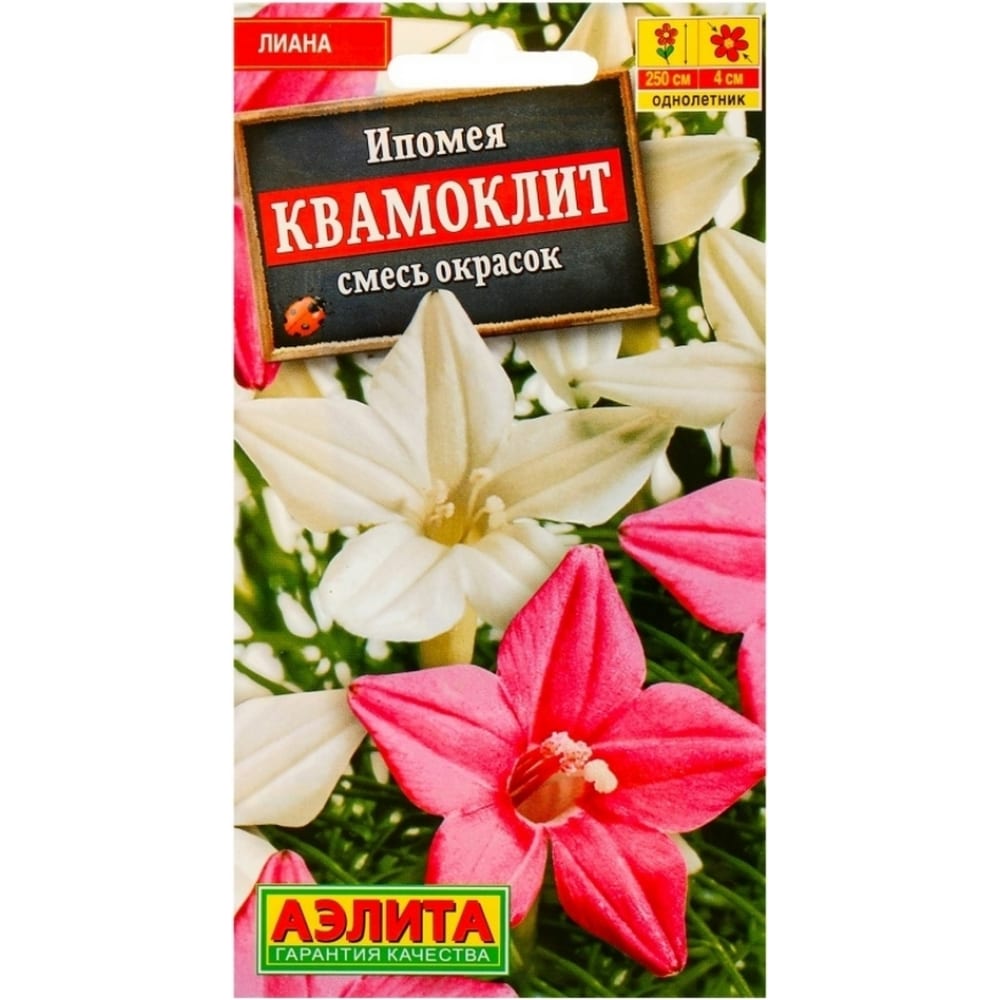 

Семена астра Аэлита Квамоклит 1 уп.