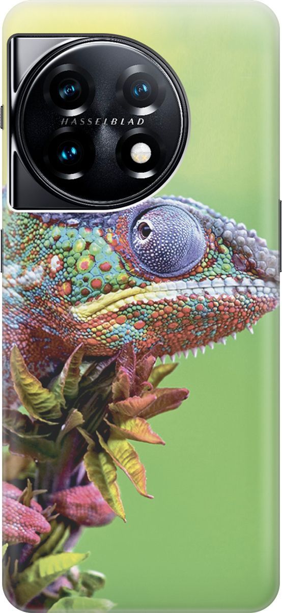 

Силиконовый чехол на OnePlus 11 с принтом "Разноцветный хамелеон", Желтый;зеленый, 159473