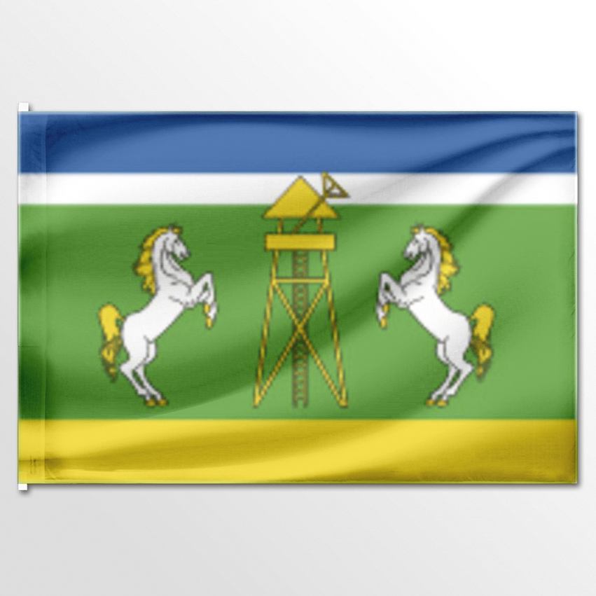 

Флаг ЦТП ФЕНИКС Каладжинского сельского поселения 135x90 см, 710-135x90