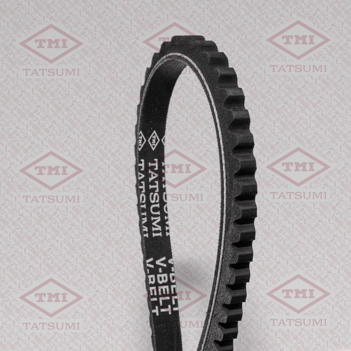 

Ремень Клиновой 10X925 Tatsumi Tfa1002