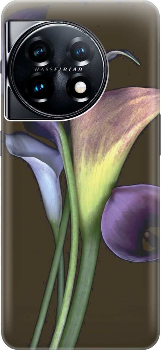 

Силиконовый чехол на OnePlus 11 с принтом "Каллы", Зеленый;коричневый, 159474