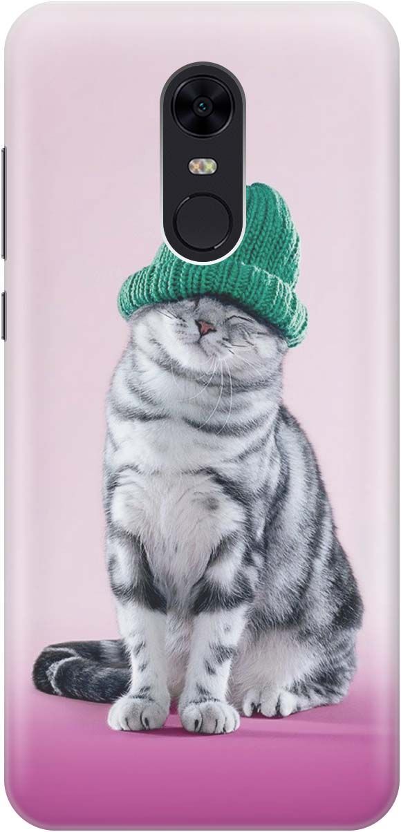 

Чехол на Xiaomi Redmi 5 Plus "Кот в зеленой шапке", Розовый;серый, 1220