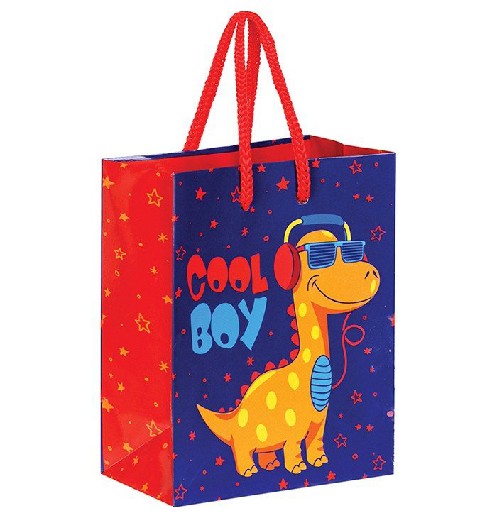 

Пакет 14х11х6,5см ArtSpace Cool Boy YСs_33092