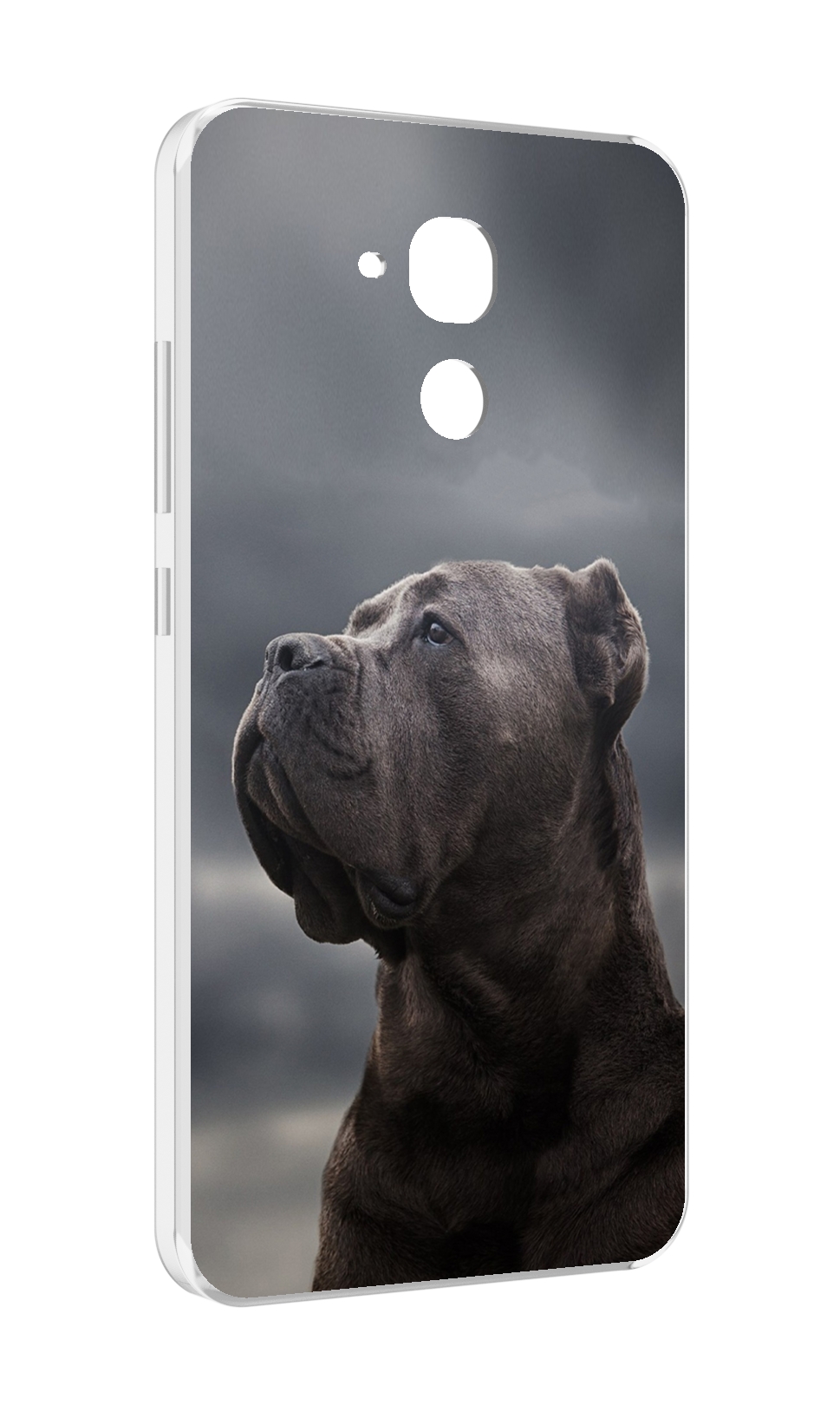 

Чехол MyPads кане корсо для Huawei Honor 5C/7 Lite/GT3 5.2, Прозрачный, Tocco