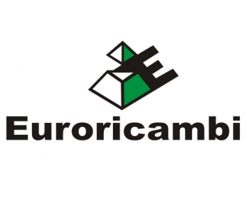 

EURORICAMBI 30170370 Главная пара дифференциала [колесо z47 хвостовикz13] () 1шт