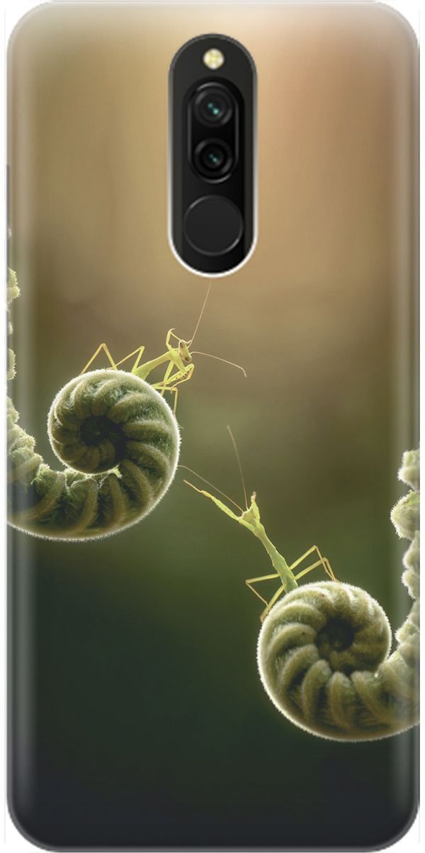 

Силиконовый чехол на Xiaomi Redmi 8 "Пара богомолов", Бежевый;зеленый, 1611