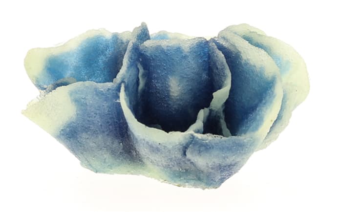 Vitality Коралл пластиковый (мягкий) бело-синий 13x11,5x7см (SH042WBLU)