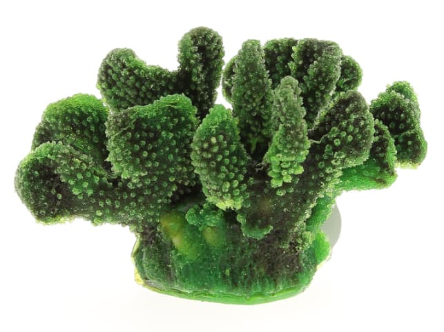 Vitality Коралл пластиковый (мягкий) зеленый 19x13x10,5см (SH9027G)