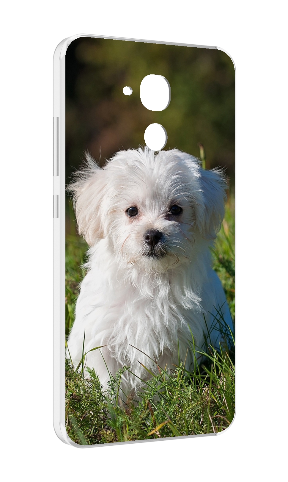 

Чехол MyPads мальтииская-болонка для Huawei Honor 5C/7 Lite/GT3 5.2, Прозрачный, Tocco