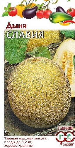 

Семена. Дыня "Славия" (вес: 1 г)