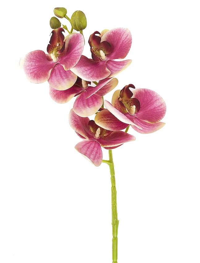 Цветок искусственный Gloria Garden Орхидея бордо на ножке 70 см