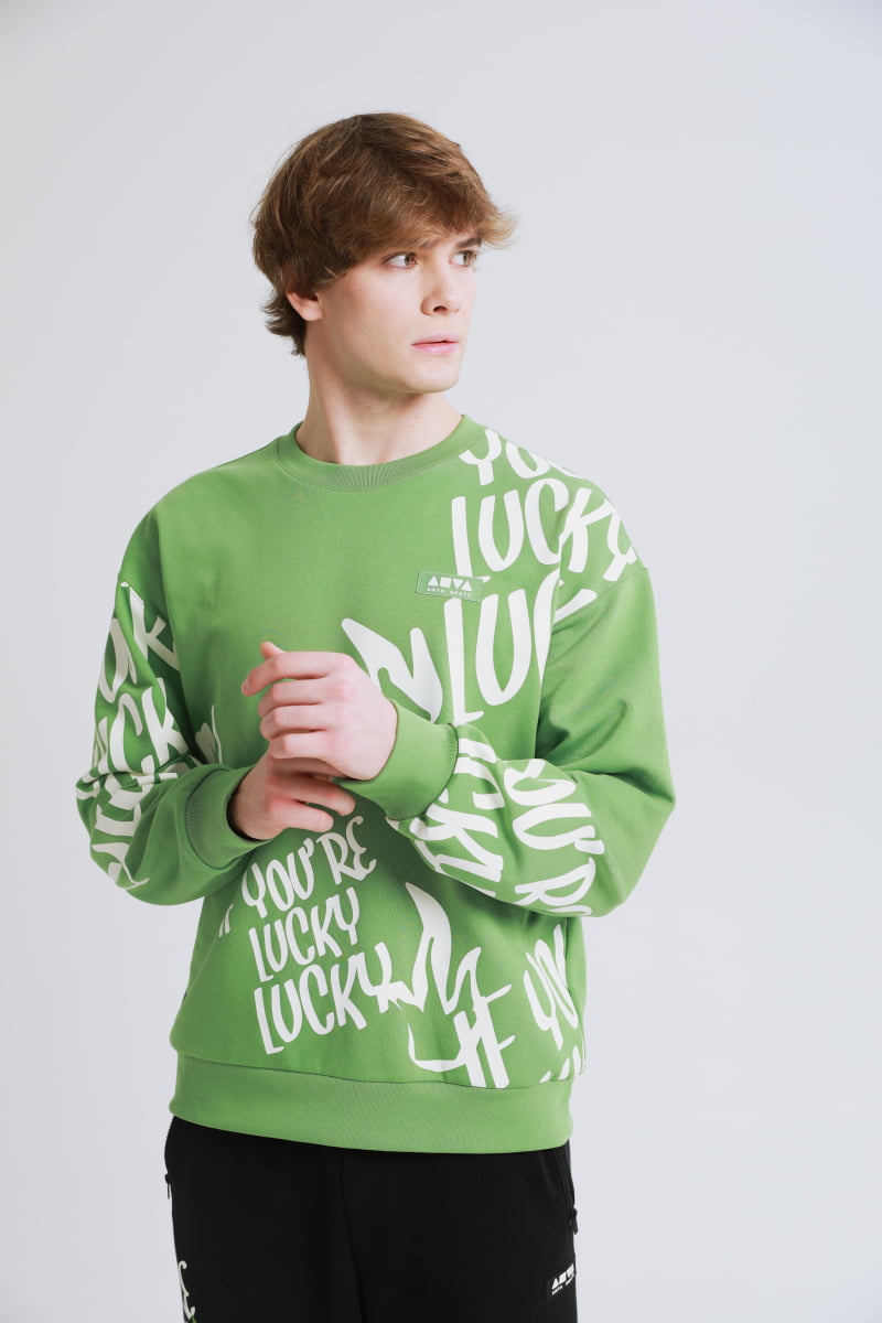 

Свитшот мужской Anta Skate Culture SORONA WARM 872348703 зеленый XS, Skate Culture SORONA WARM 872348703