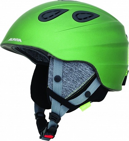 

Зимний шлем Alpina Grap 2.0 LE moss green matt