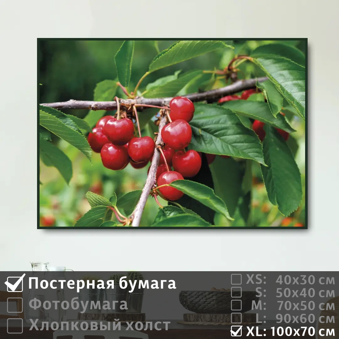 

Постер на стену ПолиЦентр Летняя ветка вишни 100х70 см, ЛетняяВеткаВишни1