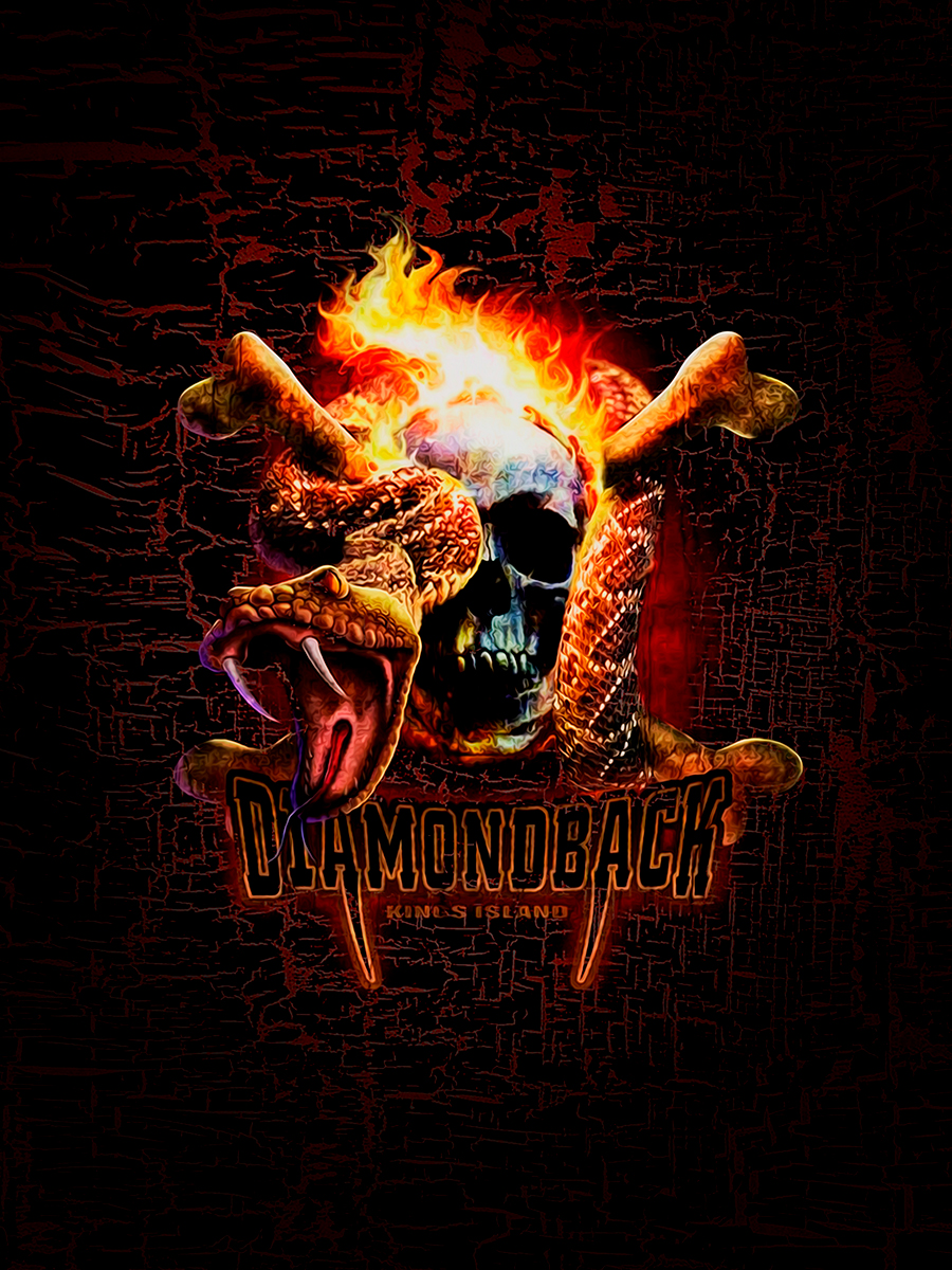 

Постер DRABS А3 Diamondback