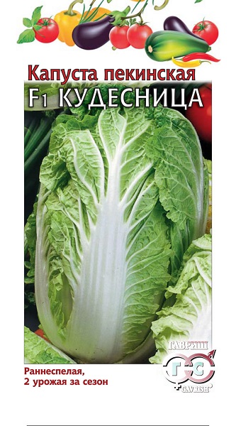 

Семена. Капуста пекинская "Кудесница F1" (вес: 0,2 г)