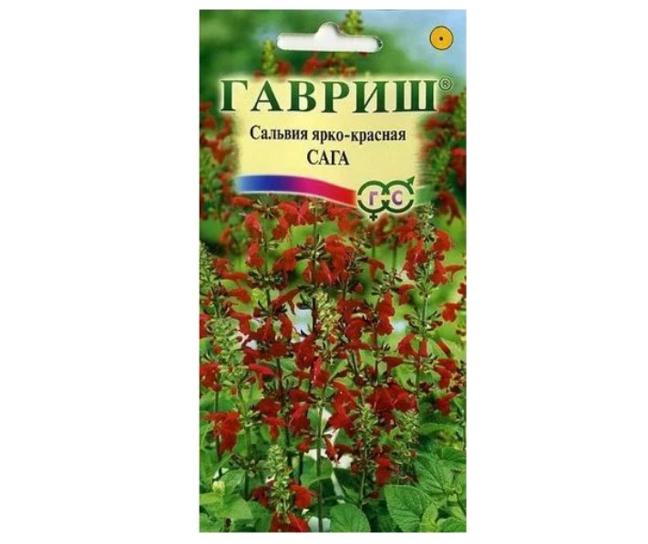 

Семена. Сальвия "Сага ярко-красная" (вес: 0,05 г)