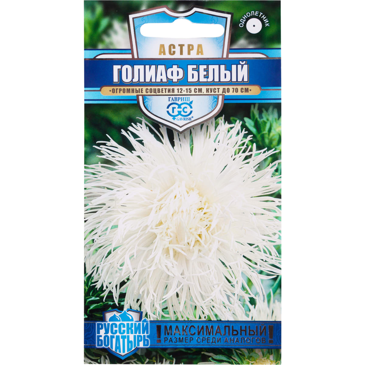 

Семена. Астра игольчатая "Голиаф белый" (вес: 0,3 г)