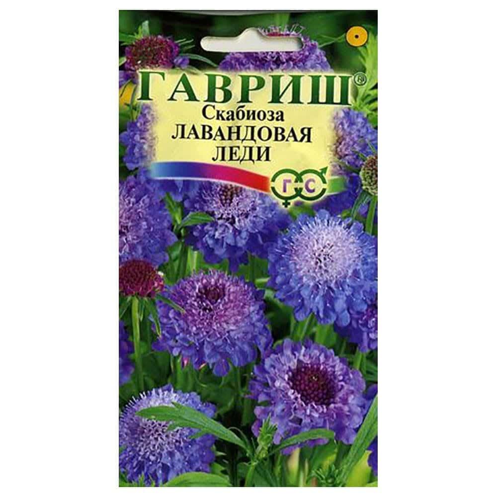 

Семена. Скабиоза пурпурная махровая "Лавандовая леди" (вес: 0,2 г)