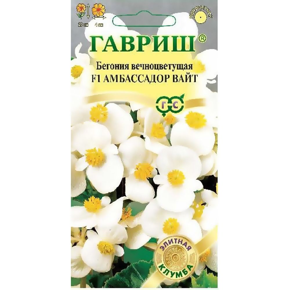

Семена. Бегония вечноцветущая "Амбассадор Вайт F1", Саката (5 штук в пробирке)