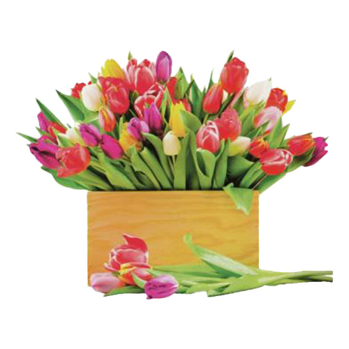 

Тюльпаны 3 шт