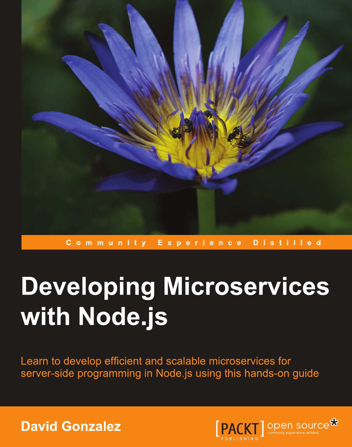 

Developing Microservices with Node.js