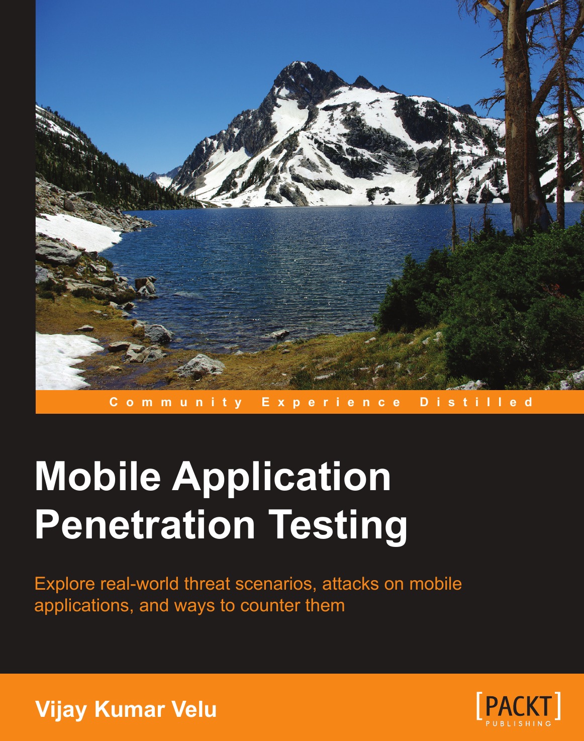 

Mobile Application Penetration Testing