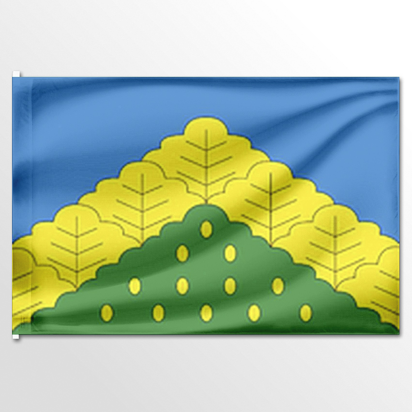 

Флаг ЦТП ФЕНИКС Комсомольского района 135x90 см, 6790-135x90