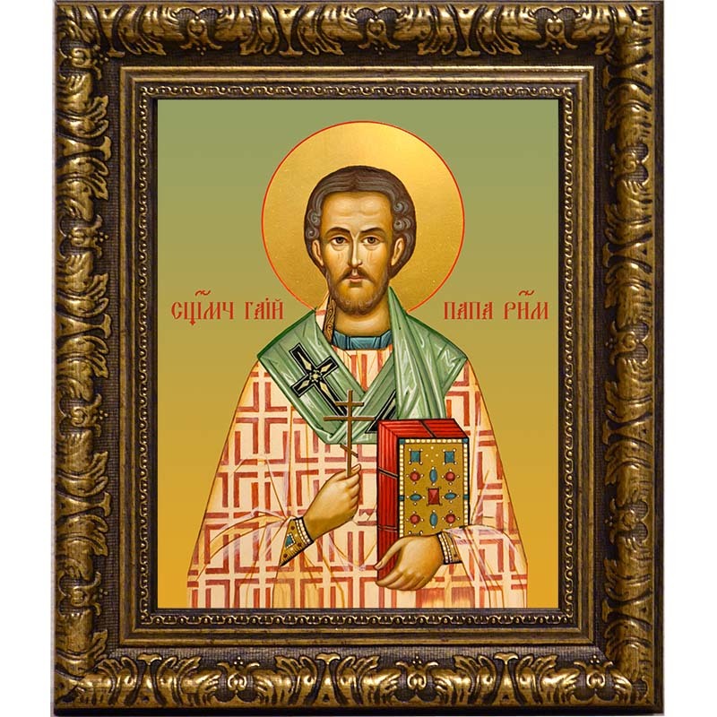 

Гаий Римский папа Римский священномученик. Икона на холсте.